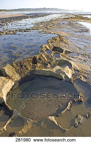 Soil erosion on beach, Greater St. Lucia Wetland Park, South Africa View Large Photo Image Stock Image - Soil erosion on beach, Greater St. Lucia Wetland Park, South Africa . Fotosearch