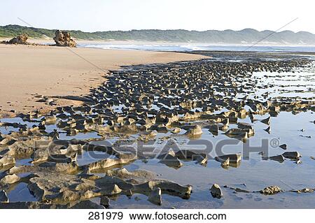 Stock Photo - Soil erosion on beach, Greater St. Lucia Wetland Park, South Africa . Fotosearch