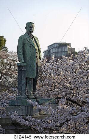 Statue in a park surrounded by cherry trees, Tokyo, Japan View Large Photo Image Stock Photography - Statue in a park surrounded by cherry trees, Tokyo, Japan . Fotosearch