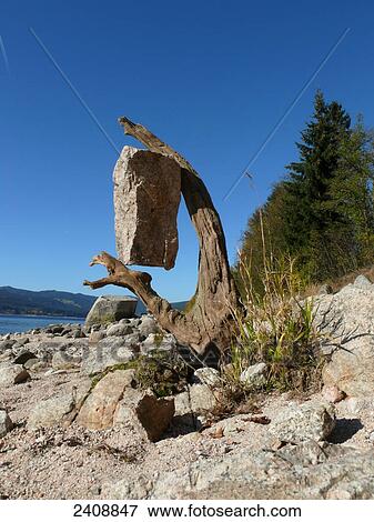 Stock Photo - Stone between dead branch's tree, Schluchsee, Germany . Fotosearch