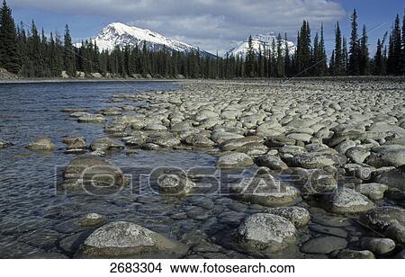 Picture - Stones in river with mountain in background, Athabasca River, Mt Kerkeslin, Jasper National Park, Alberta, Canada . Fotosearch
