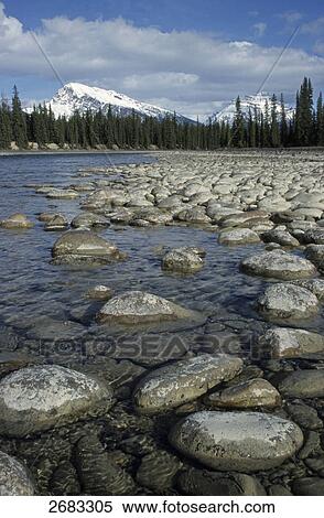 Stones in river with mountain in background, Athabasca River, Mt Kerkeslin, Jasper National Park, Alberta, Canada View Large Photo Image Stock Photography - Stones in river with mountain in background, Athabasca River, Mt Kerkeslin, Jasper National Park, Alberta, Canada . Fotosearch