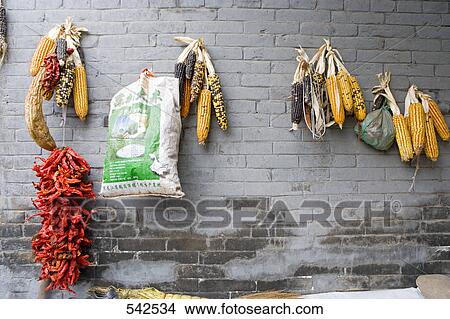 Strand of red chili peppers and bag hanging with corn cobs on wall, Pingyao, Shaanxi Province, China View Large Photo Image Picture - Strand of red chili peppers and bag hanging with corn cobs on wall, Pingyao, Shaanxi Province, China . Fotosearch