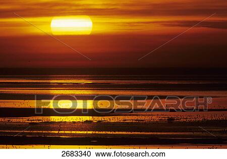 Sunset over sea, Schleswig-Holstein, Germany View Large Photo Image Stock Image - Sunset over sea, Schleswig-Holstein, Germany . Fotosearch
