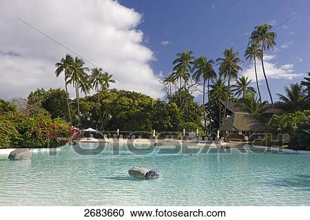 Swimming pool in hotel, Hotel Meridien, Punaauia, Tahiti, Society Island, French Polynesia View Large Photo Image Stock Image - Swimming pool in hotel, Hotel Meridien, Punaauia, Tahiti, Society Island, French Polynesia . Fotosearch