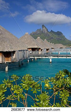 Thatched roof huts in shallow water, Saint-Regis Resort, Bora Bora, Society Island, French Polynesia View Large Photo Image Stock Photo - Thatched roof huts in shallow water, Saint-Regis Resort, Bora Bora, Society Island, French Polynesia . Fotosearch