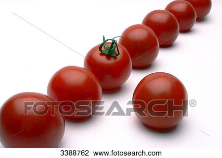 Tomatoes against a white background, close-up View Large Photo Image Stock Image - Tomatoes against a white background, close-up . Fotosearch