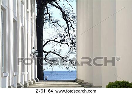 Tree branches viewed through colonnade, Putbus, Lauterbach, Mecklenburg-Western Pomerania, Germany View Large Photo Image Picture - Tree branches viewed through colonnade, Putbus, Lauterbach, Mecklenburg-Western Pomerania, Germany . Fotosearch