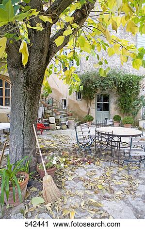 Stock Image - Tree in front of building, Vaucluse, Provence-Alpes-Cote d'Azur, France . Fotosearch