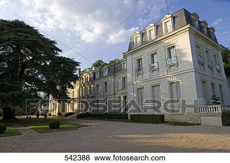Tree in front of castle, Chateau De Rochecotte, Saint Patrice, Indre-Et-Loire, France View Large Photo Image Stock Photo - Tree in front of castle, Chateau De Rochecotte, Saint Patrice, Indre-Et-Loire, France . Fotosearch