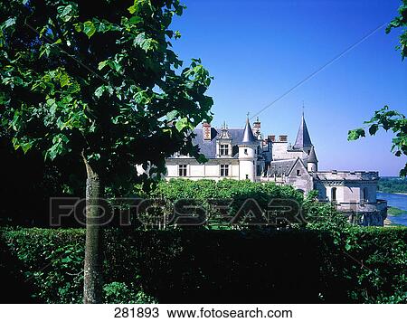 Tree in front of castle, Chateau Damboise, Indre-Et-Loire, France View Large Photo Image Stock Image - Tree in front of castle, Chateau Damboise, Indre-Et-Loire, France . Fotosearch