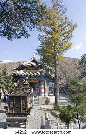 Stock Image - Tree in front of temple, Wutai Shan, Shaanxi Province, China . Fotosearch