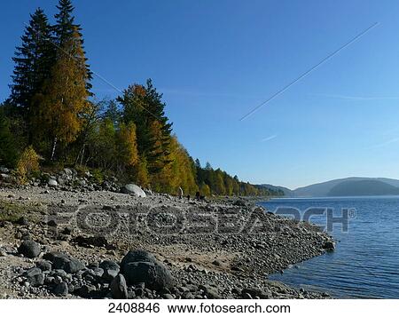 Trees at lakeside, Schluchsee, Germany View Large Photo Image Stock Photograph - Trees at lakeside, Schluchsee, Germany . Fotosearch