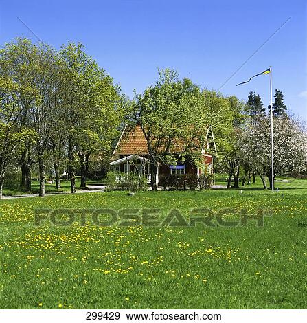 Trees in front of cottage, Sweden View Large Photo Image Stock Photo - Trees in front of cottage, Sweden . Fotosearch