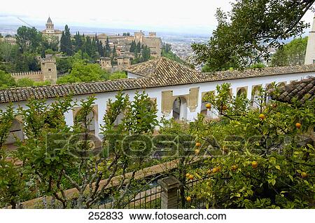 Trees in front of palace, Alhambra Palace, Granada, Granada Province, Andalusia, Spain View Large Photo Image Stock Image - Trees in front of palace, Alhambra Palace, Granada, Granada Province, Andalusia, Spain . Fotosearch