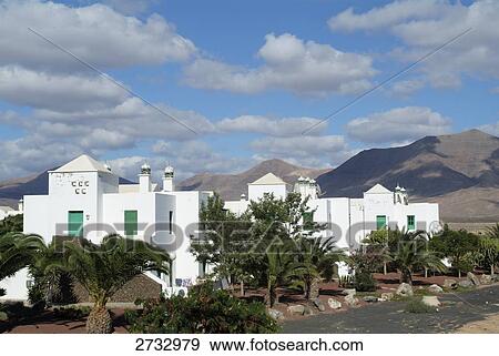 Stock Photo - Trees in front of resort, Playa Blanca, Lanzarote, Canary Islands, Spain . Fotosearch