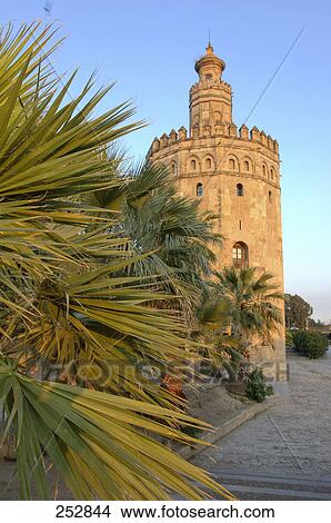 Trees in front of tower, Andalusia, Spain View Large Photo Image Picture - Trees in front of tower, Andalusia, Spain . Fotosearch