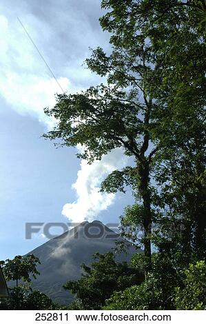 Trees in front of volcano, Arenal Volcano National Park, Costa Rica View Large Photo Image Stock Image - Trees in front of volcano, Arenal Volcano National Park, Costa Rica . Fotosearch