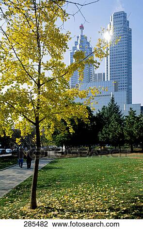 Stock Image - Trees in park with skyscrapers in background, Ontario, Canada . Fotosearch