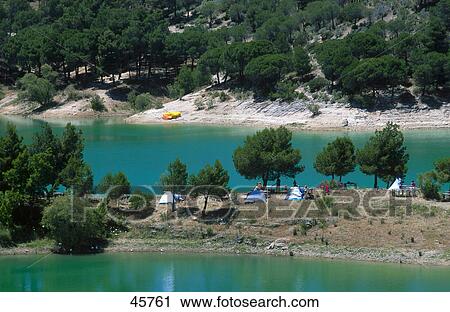 Stock Image - Trees near reservoir, Guadalteba-Guadalhorce Reservoir, Andalusia, Spain . Fotosearch
