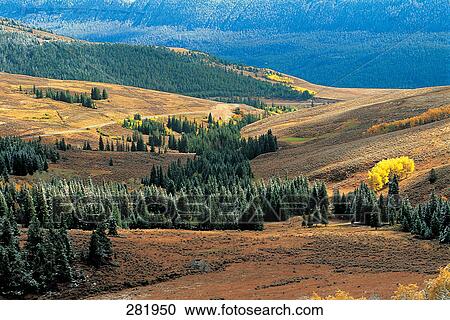 Trees on landscape with mountain in background View Large Photo Image Stock Image - Trees on landscape with mountain in background . Fotosearch