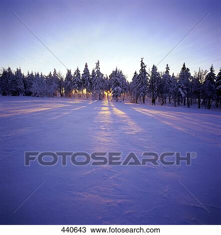 Trees on snow covered landscape at dusk, Mt. Fichtelberg, Saxony, Germany View Large Photo Image Stock Image - Trees on snow covered landscape at dusk, Mt. Fichtelberg, Saxony, Germany . Fotosearch