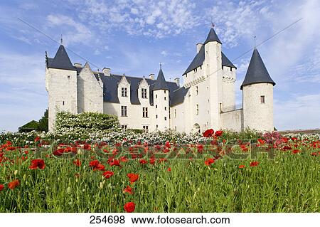 Tulip flowers blooming in front of castle, Chateau Du Rivau, Indre-Et-Loire, France View Large Photo Image Stock Photo - Tulip flowers blooming in front of castle, Chateau Du Rivau, Indre-Et-Loire, France . Fotosearch