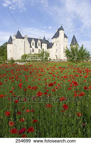 Stock Photo - Tulip flowers blooming in front of castle, Chateau Du Rivau, Indre-Et-Loire, France . Fotosearch