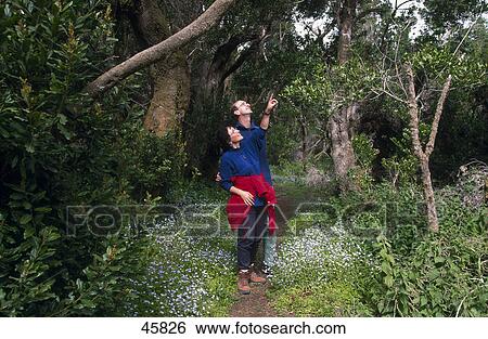 Stock Photograph - Two hikers standing in forest, Fayal-Brezal, El Hierro, Canary Islands, Spain . Fotosearch