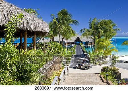 Two people sitting in golf cart, Bora Bora Nui Hilton Resort, French Polynesia View Large Photo Image Stock Photo - Two people sitting in golf cart, Bora Bora Nui Hilton Resort, French Polynesia . Fotosearch