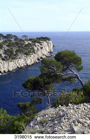 View to bay, Calanque de Port-Pin, France View Large Photo Image Stock Photography - View to bay, Calanque de Port-Pin, France . Fotosearch
