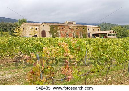 Vineyard in front of hotel, Megeve, Menerbes, Luberon, Vaucluse, Provence-Alpes-Cote d'Azur, France View Large Photo Image Stock Photography - Vineyard in front of hotel, Megeve, Menerbes, Luberon, Vaucluse, Provence-Alpes-Cote d'Azur, France . Fotosearch