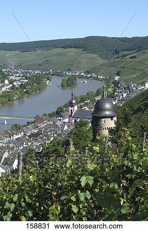 Vineyard with town at riverside, Mosel River, Zell an der Mosel, Cochem-Zell, Rhineland-Palatinate, Germany View Large Photo Image Stock Image - Vineyard with town at riverside, Mosel River, Zell an der Mosel, Cochem-Zell, Rhineland-Palatinate, Germany . Fotosearch