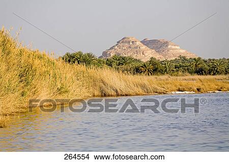 Water pool in desert under clear blue sky, Siwa Oasis, Libyan Desert, Egypt View Large Photo Image Picture - Water pool in desert under clear blue sky, Siwa Oasis, Libyan Desert, Egypt . Fotosearch