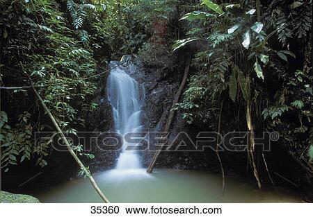 Waterfall in forest, La Gran Sabana, Venezuela View Large Photo Image Stock Image - Waterfall in forest, La Gran Sabana, Venezuela . Fotosearch