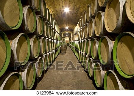 Wine casks in a wine cellar, Elciego, Spain View Large Photo Image Picture - Wine casks in a wine cellar, Elciego, Spain . Fotosearch