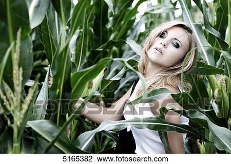 Young woman in corn field View Large Photo Image Stock Image - Young woman in corn field . Fotosearch