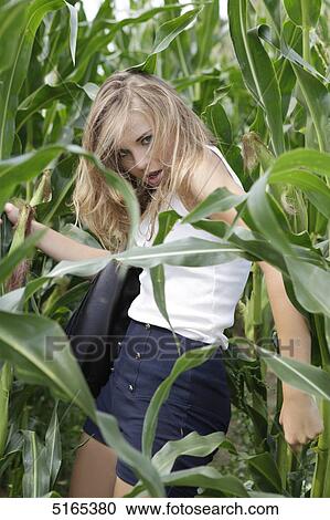 Young woman in cornfield View Large Photo Image Stock Image - Young woman in cornfield . Fotosearch