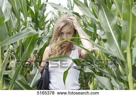 Stock Photo - Young woman in cornfield . Fotosearch