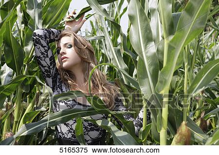 Stock Photography - Young woman in cornfield . Fotosearch