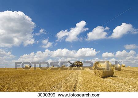 Stock Photo - Bales of straw on a stubble field, Schleswig-Holstein, Germany . Fotosearch