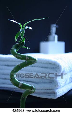 Bamboo plant in front of stack of towels View Large Photo Image Stock Photo - Bamboo plant in front of stack of towels . Fotosearch