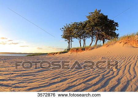 Beach near Flensburg, Schleswig-Holstein, Germany, Europe View Large Photo Image Stock Photograph - Beach near Flensburg, Schleswig-Holstein, Germany, Europe . Fotosearch