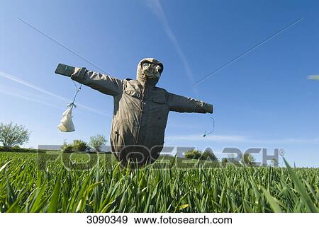 Bogle on a field, low angle view View Large Photo Image Stock Photo - Bogle on a field, low angle view . Fotosearch