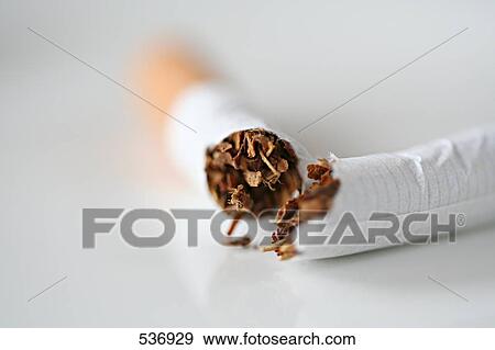 Close-up of broken cigarette View Large Photo Image Stock Photo - Close-up of broken cigarette . Fotosearch
