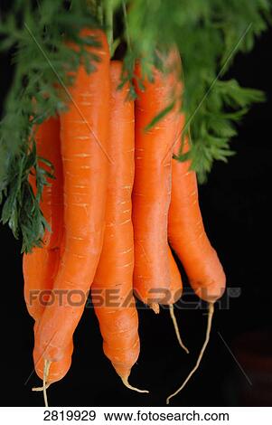 Close-up of carrots against black background View Large Photo Image Stock Photo - Close-up of carrots against black background . Fotosearch