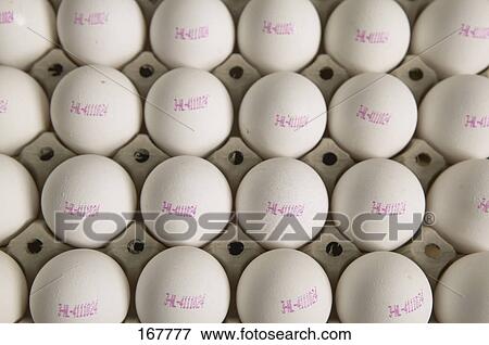 Close-up of eggs in egg carton View Large Photo Image Stock Photo - Close-up of eggs in egg carton . Fotosearch