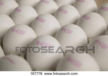 Close-up of eggs in egg carton View Large Photo Image Stock Photo - Close-up of eggs in egg carton . Fotosearch