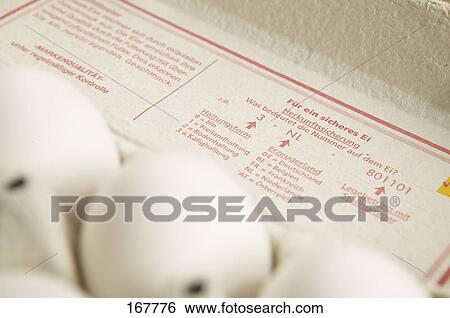 Close-up of eggs in egg carton View Large Photo Image Stock Photograph - Close-up of eggs in egg carton . Fotosearch