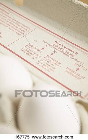 Close-up of eggs in egg carton View Large Photo Image Stock Photography - Close-up of eggs in egg carton . Fotosearch